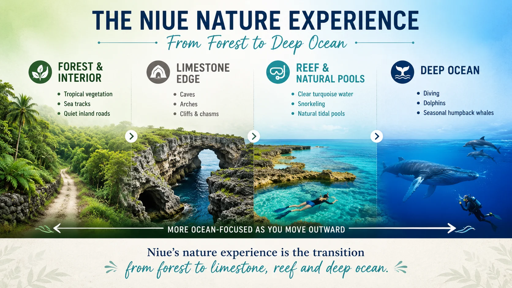 The Niue Nature Experience: From Forest to Deep Ocean