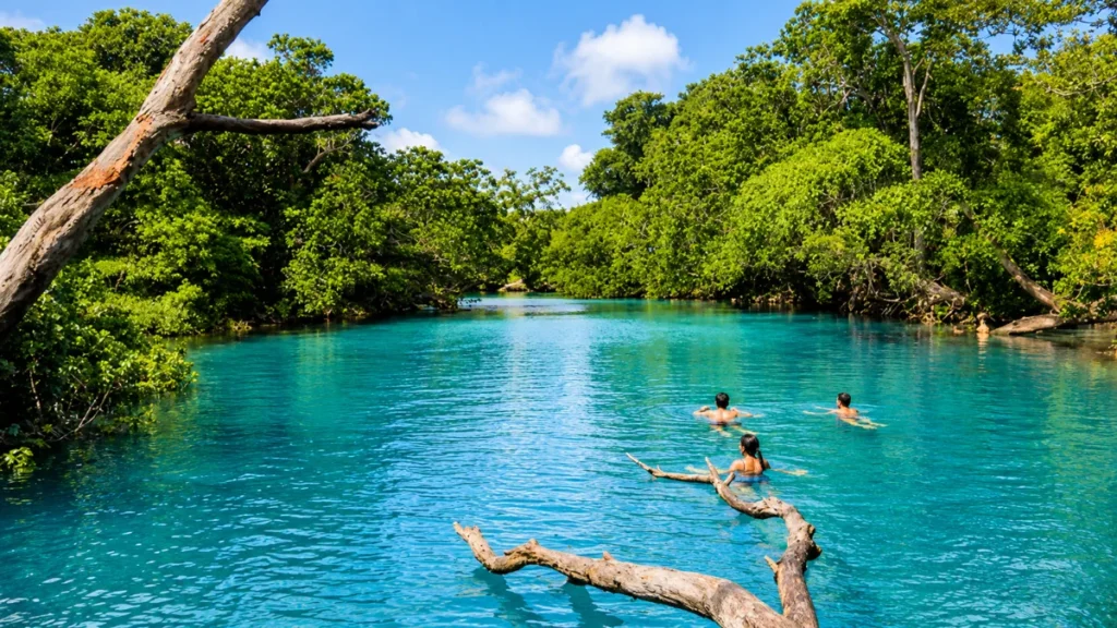Samoa vs Vanuatu for Authentic Island Experiences - Blue Lagoon Efate Vanuatu
