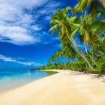 Which Pacific Islands Still Feel Underrated in 2026 - Samoa Beach